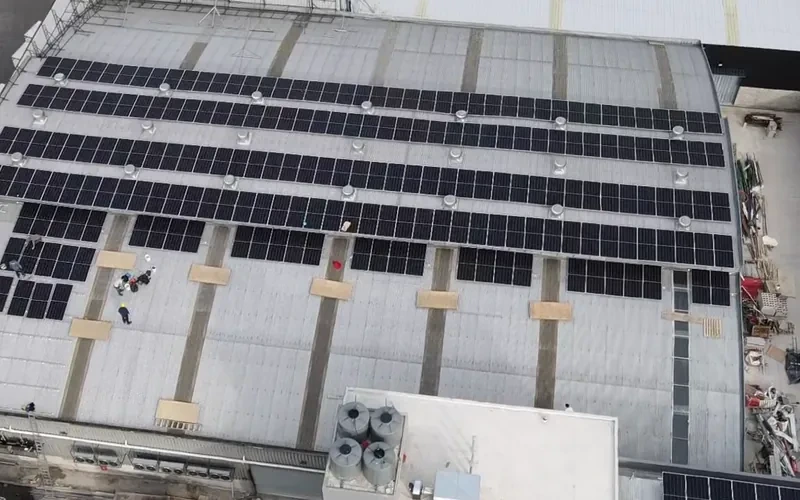 Vista amplia de los paneles solares sobre el techo de Cofex Alimentos.
